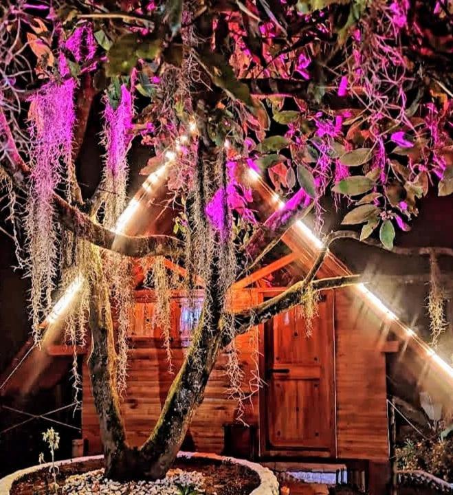 Cabanas La Miranda Filandia Εξωτερικό φωτογραφία