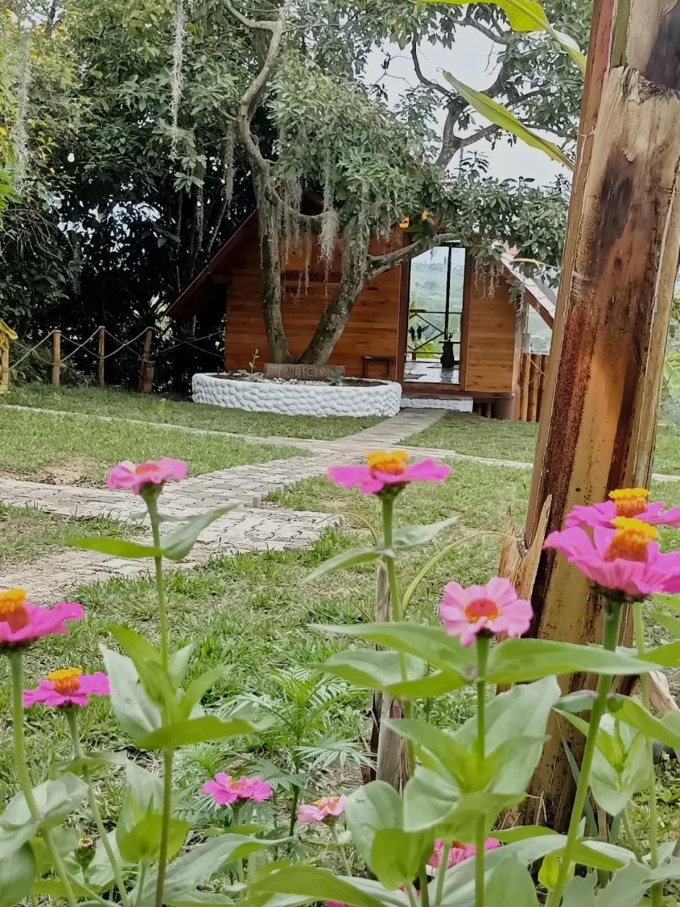 Cabanas La Miranda Filandia Εξωτερικό φωτογραφία