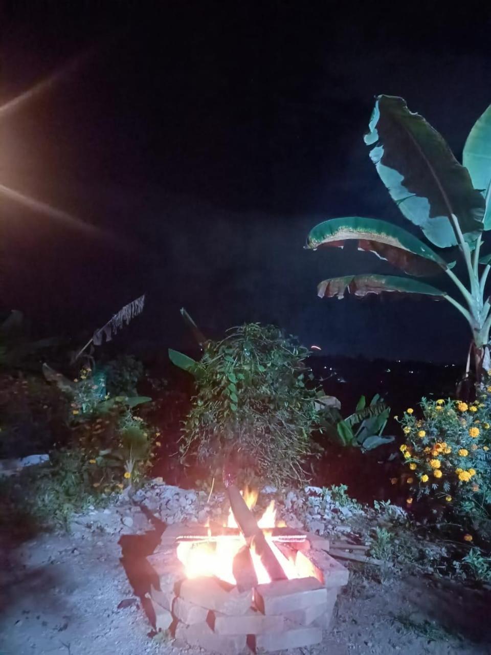 Cabanas La Miranda Filandia Εξωτερικό φωτογραφία
