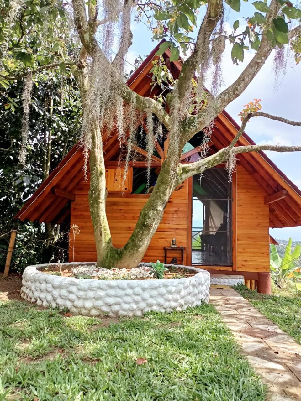 Cabanas La Miranda Filandia Εξωτερικό φωτογραφία