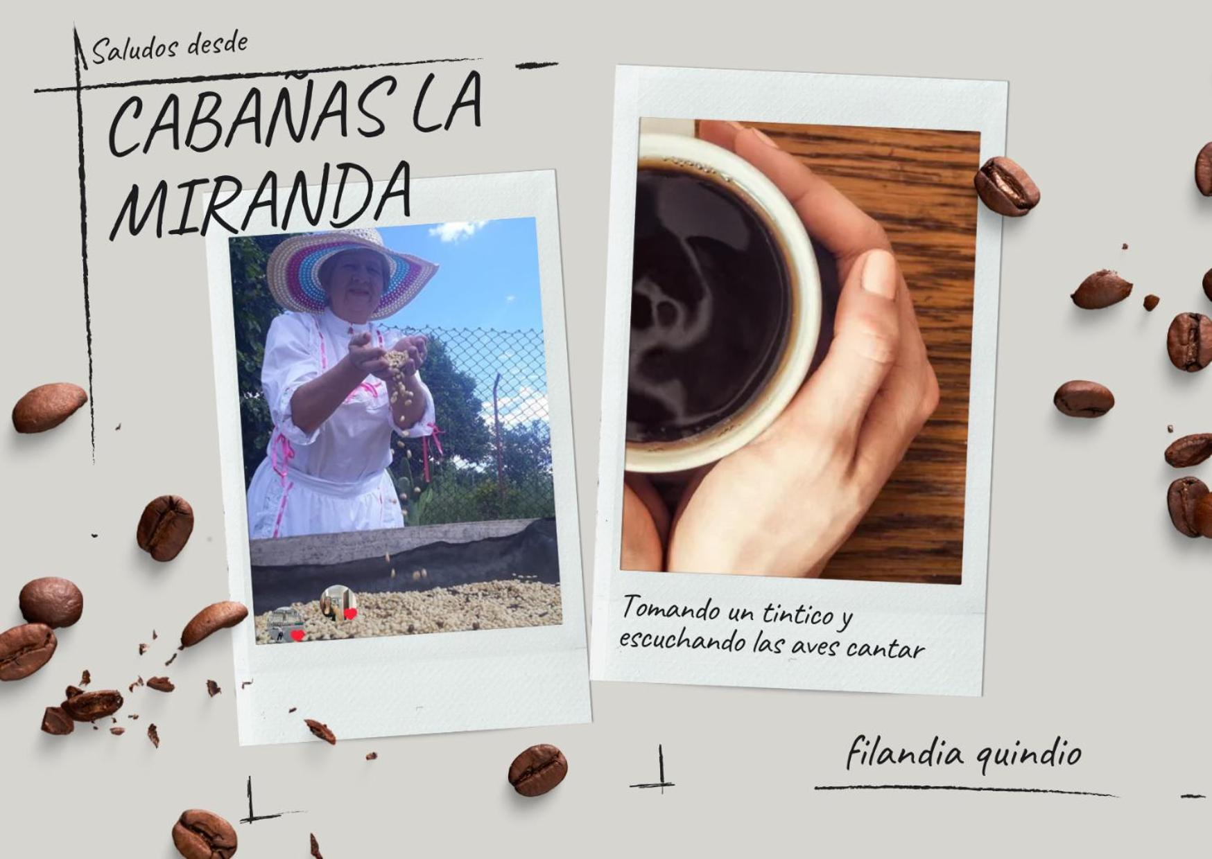 Cabanas La Miranda Filandia Εξωτερικό φωτογραφία